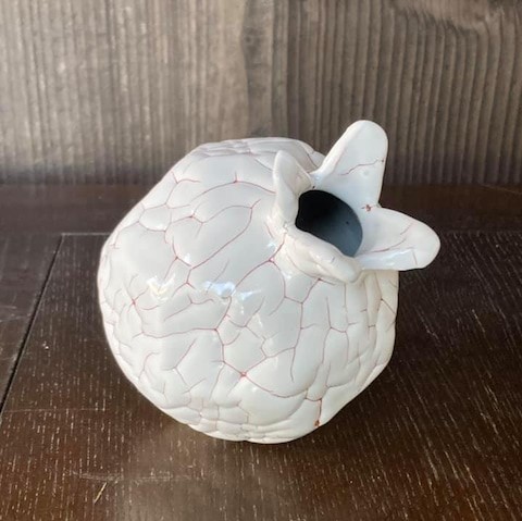【龍爪梅花皮】蕾つぼ 赤(13cm)